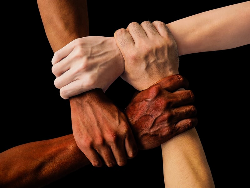 Subtle Alliances